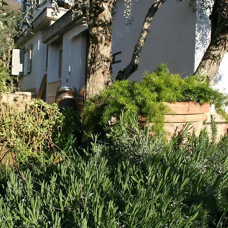 La Taverna Di Sophie Apartment Serre Di Rapolano